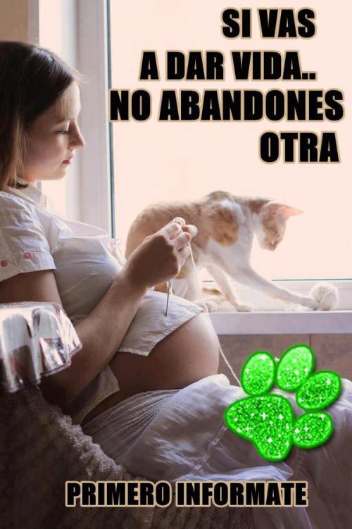 Si vas a dar vida... Toxoplasmosis 1